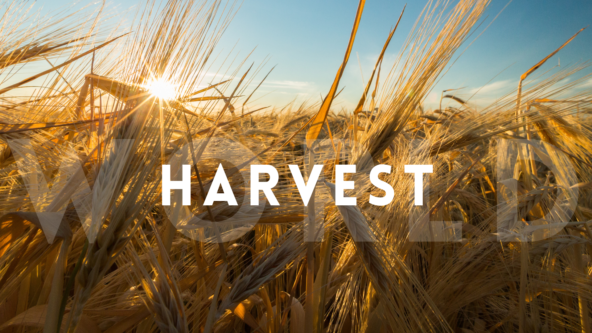COA | World Harvest